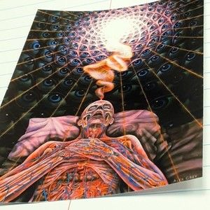 Dream State Sticker